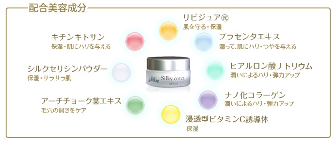 �V���L�[�J�o�[